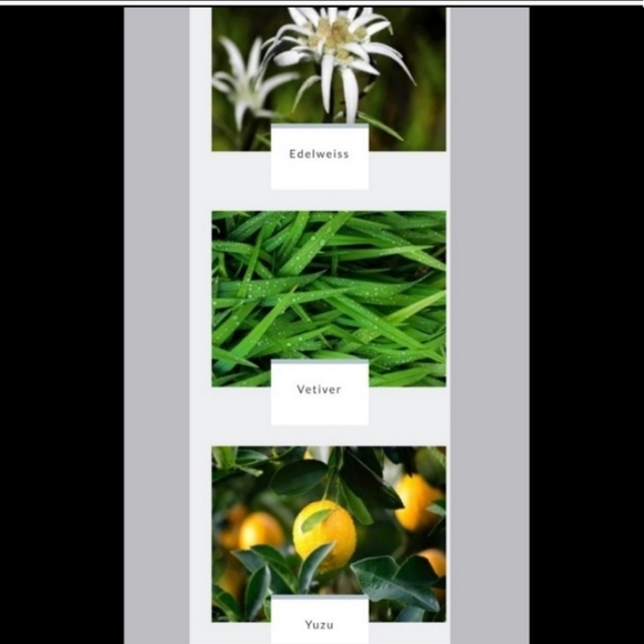 NIB Spongelle-All in One Beauty Treatment, 3oz, Pikake Bloom - Picture 6 of 7